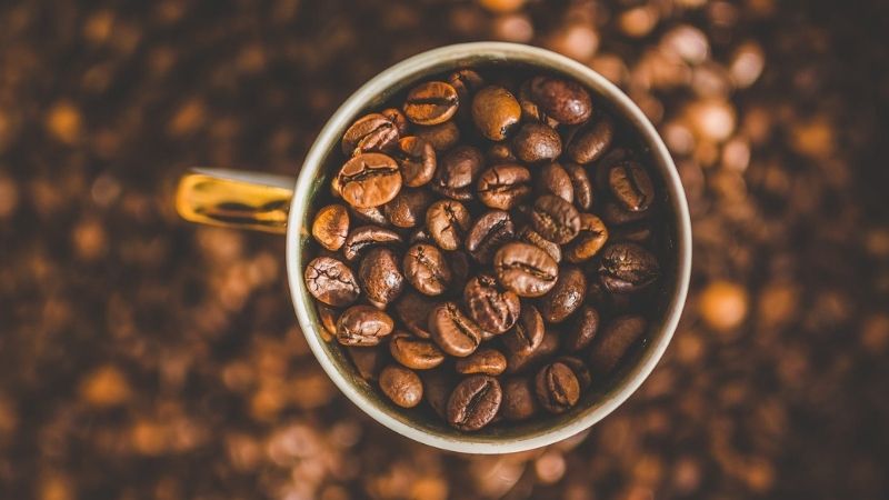 Giá cà phê trong nước hôm nay