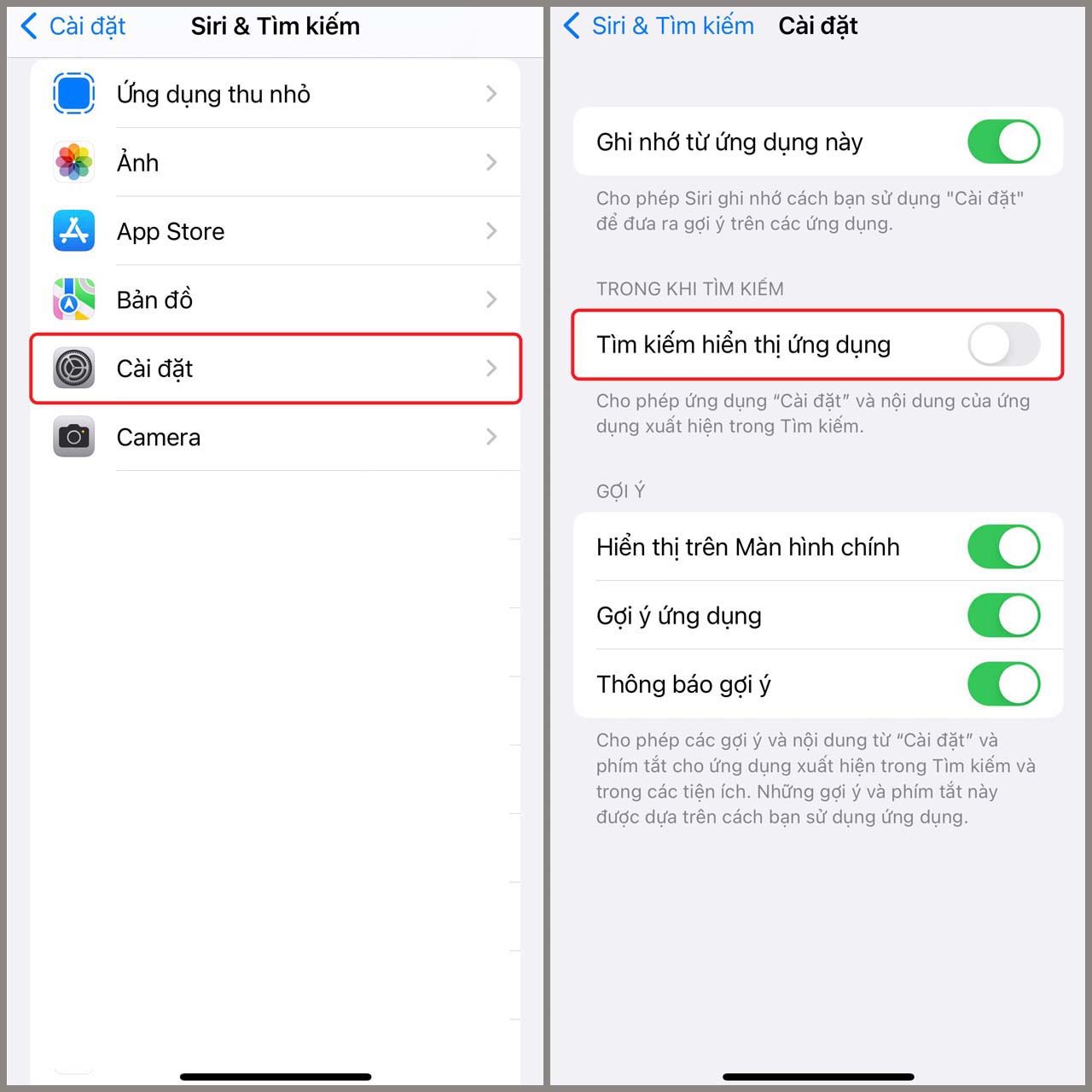 Kích hoạt tính năng tìm kiếm nhanh trên iPhone Kích hoạt tính năng tìm kiếm nhanh trên iPhone