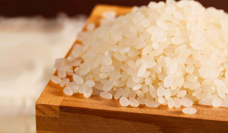 Giá lúa gạo hôm nay 19/04/2022: Tiếp tục đi ngang trên diện rộng