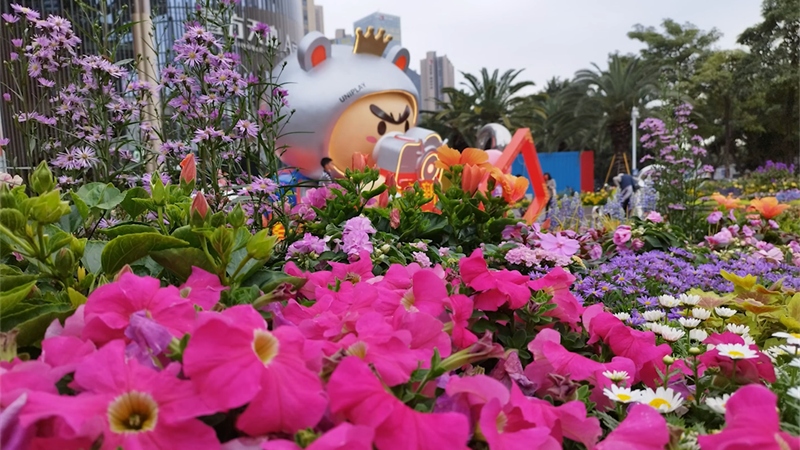 Hình ảnh được chụp bởi camera của Redmi Note 11 Pro 5G