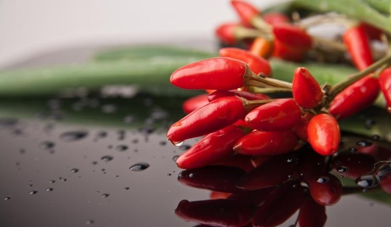 Giá ớt hôm nay 20/04/2022: Giá ớt trên cả nước đứng im, không thay đổi