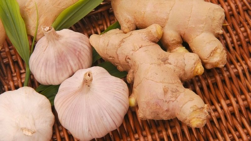 Tỏi và gừng chứa nhiều salicylat làm loãng máu và chậm quá trình đông máu không tốt cho bệnh nhân sốt xuất huyết