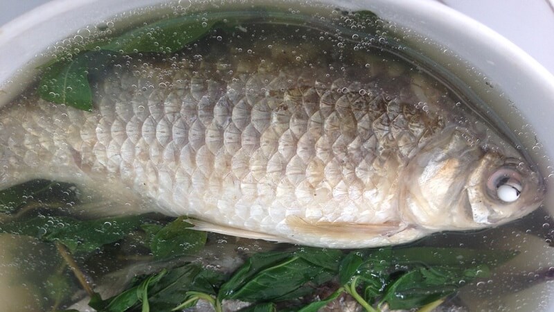 Canh cá diếc nấu hoàng kỳ, chỉ xác giúp bệnh nhân sa tử cung mau phục hồi