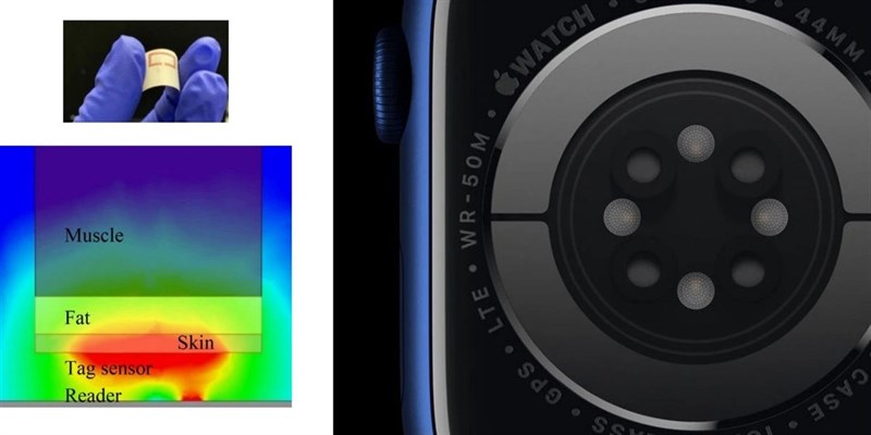 Apple Watch Series 8 sẽ được trang bị nhiều tính năng sức khỏe hữu ích