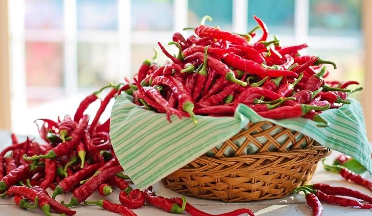Giá ớt hôm nay 23/04/2022: Thị trường giá ớt giảm nhẹ, cao nhất 28.000 đồng/kg