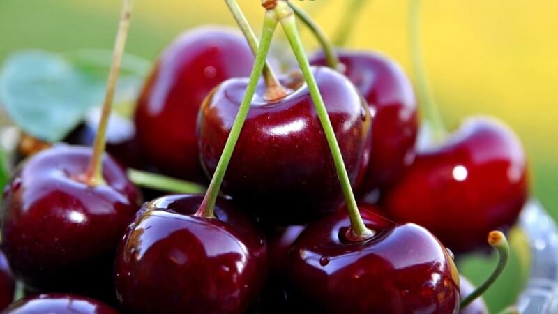 Cherry Úc