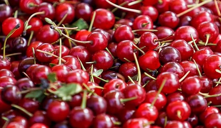 Cherry Trung Quốc: Đặc điểm, phân loại, giá Cherry Trung Quốc