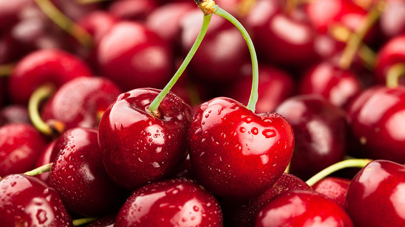 Tìm hiểu quả Cherry Úc: Giá Cherry Úc theo size 28-30-32-34