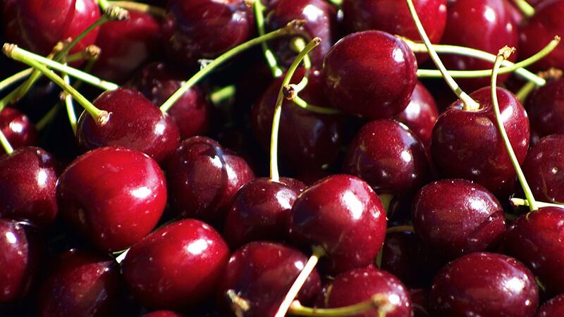 Cherry được thu hoạch vào đúng mùa thường có giá mềm hơn trái vụ