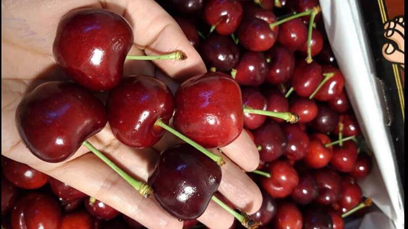 Tại sao nên mua Cherry tại Bách hoá XANH?