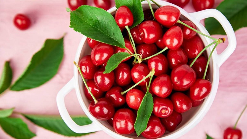 Quả Cherry là quả gì?