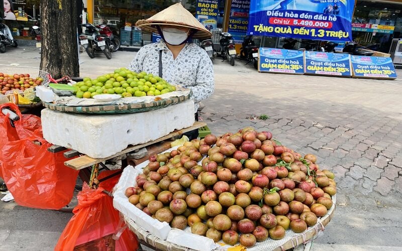 Bạn mua mận Bắc vào mùa mận chín để có mức giá ổn định hơn so với mận đầu mùa