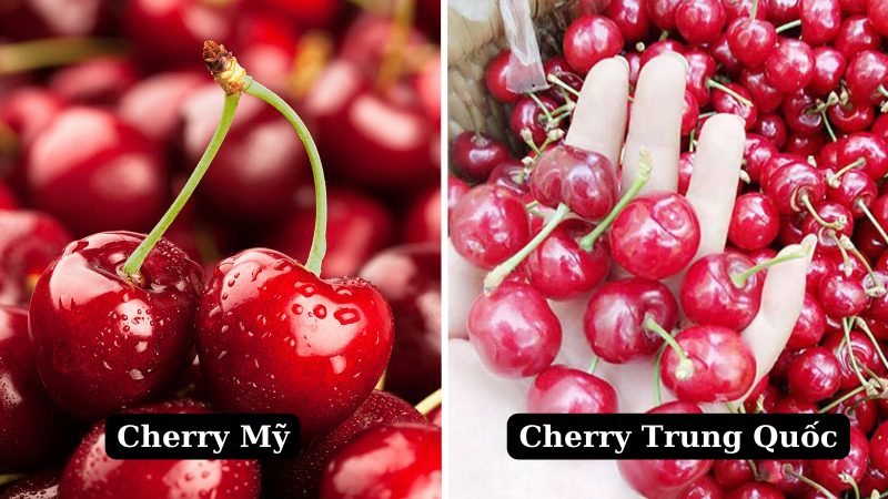 Cách phân biệt Cherry Mỹ và Cherry Trung Quốc chính xác nhất