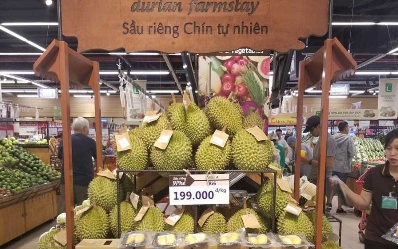 The price and places to buy reputable and high-quality Cai Mon Durian