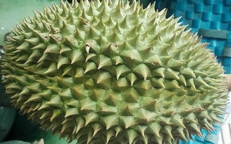 What is durian durian? How to choose delicious durian