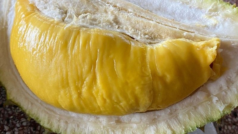 Distinctive features of Musang King durian