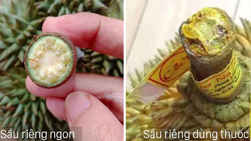 How to identify a ripe durian by its stalk