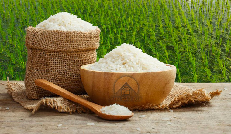 Giá lúa gạo hôm nay 27/04/2022: Giá lúa đồng loạt tăng 100-200 đồng/kg