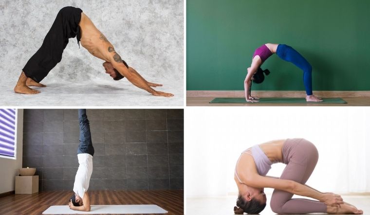 Các bài tập Yoga tăng chiều cao cho cả nam, nữ ở các độ tuổi