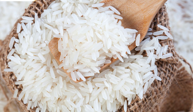 Giá lúa gạo hôm nay 28/04/2022: Giảm 100 đồng/kg ở vài giống lúa