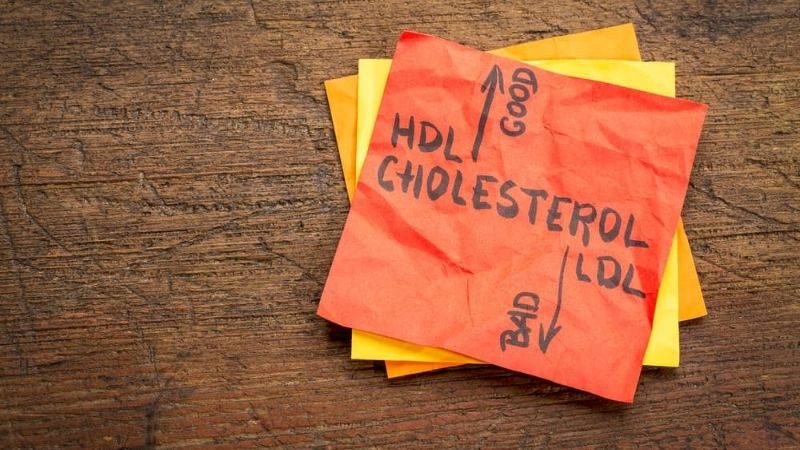 Lactobacillus acidophilus giúp giảm Cholesterol LDL