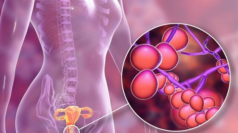 Lactobacillus acidophilus ngăn chặn vi khuẩn có hại cho âm đạo.