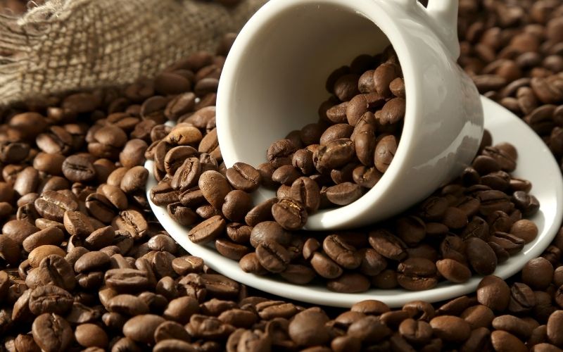 Giá cà phê trong nước hôm nay