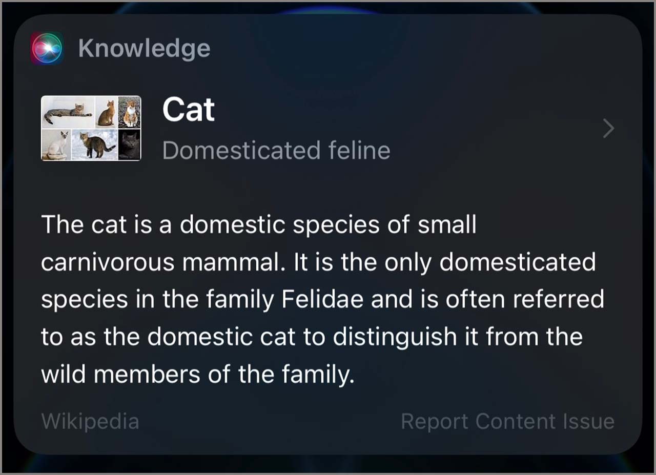 Siri trên iPhone Siri trên iPhone