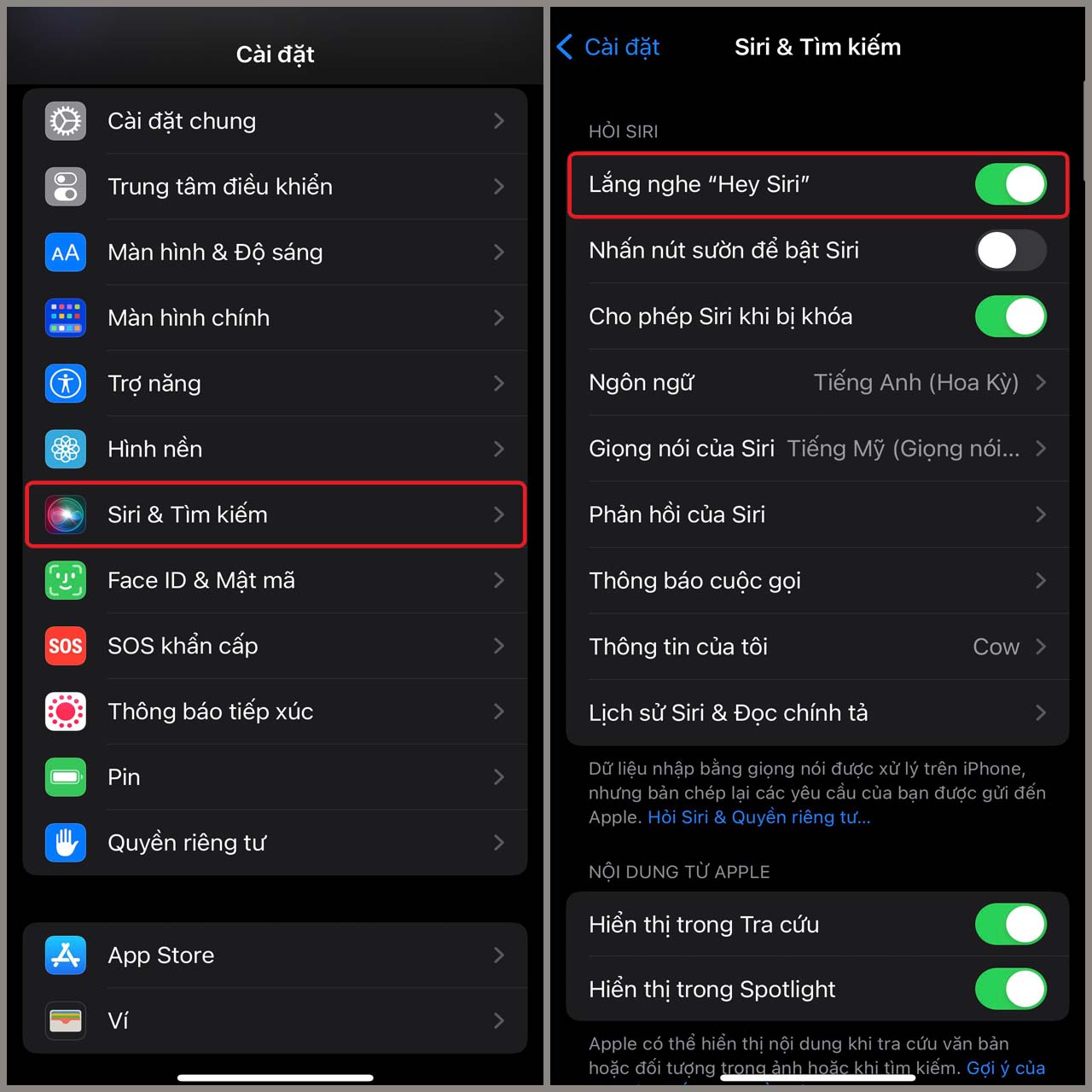 Siri trên iPhone Siri trên iPhone