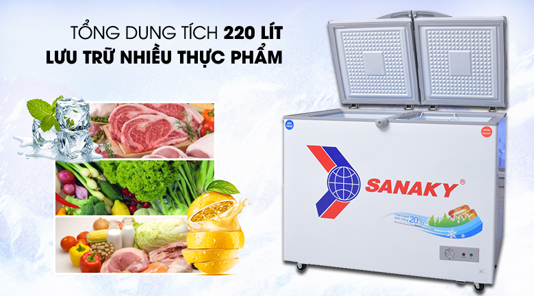 Tủ đông Sanaky 220 lít VH-2899W1 