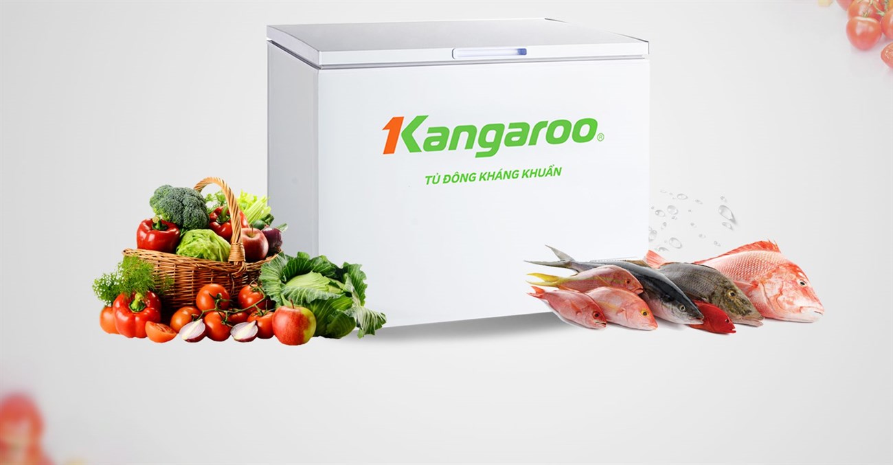 Tủ đông Kangaroo 252 lít KG 400NC2