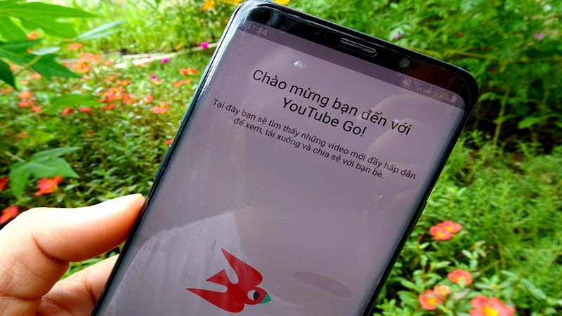 YouTube Go sắp ngừng hoạt động, đây là những thông tin bạn cần biết YouTube Go sắp ngừng hoạt động, đây là những thông tin bạn cần biết