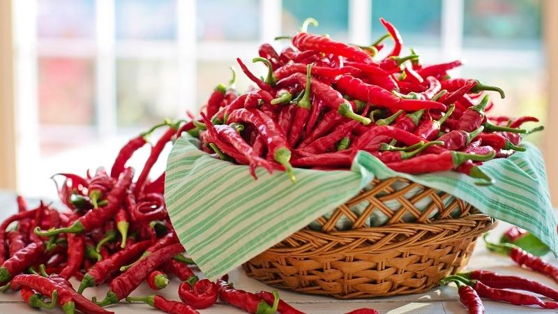 Giá ớt dao động từ 20.000 - 32.000 đồng/kg Giá ớt dao động từ 20.000 - 32.000 đồng/kg