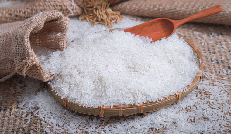 Giá lúa gạo hôm nay 4/5/2022: Giảm 100 đồng/kg trên nhiều giống lúa