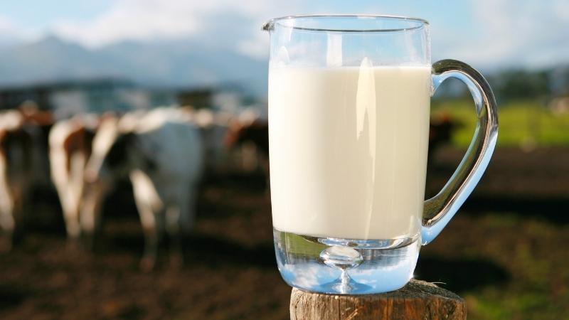 Những lưu ý để uống sữa tươi tốt cho sức khỏe
