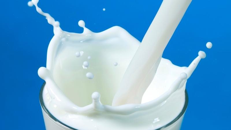 100ml sữa tươi có bao nhiêu calo?