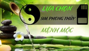 Sim phong thuỷ hợp mệnh Mộc - Cách chọn sim hợp mệnh Mộc