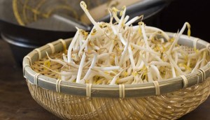 100g giá đỗ bao nhiêu calo? Ăn giá đỗ có béo (mập) không?