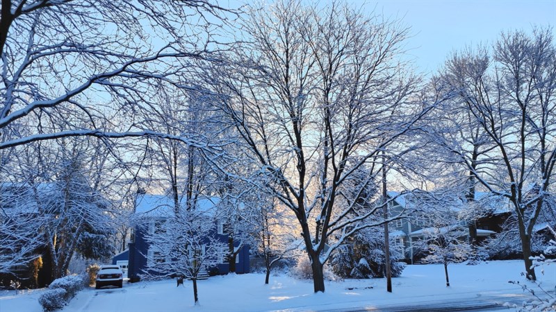 Hình ảnh được chụp bởi camera của OPPO Find X5 Pro