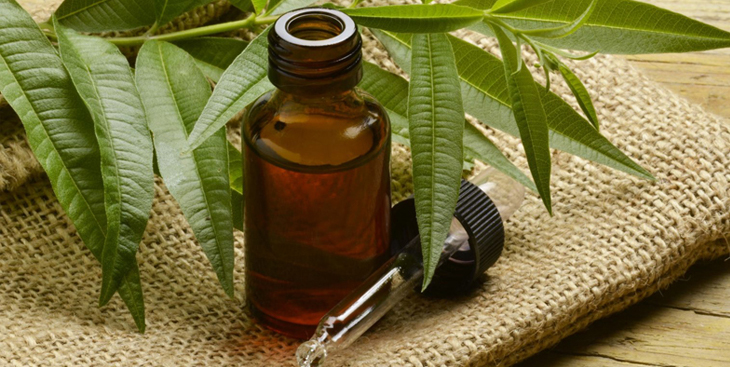 Using tea tree essential oil