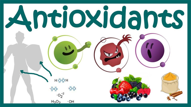 Enzym catalase chống lại những tác động xấu của gốc tự do lên cơ thể.