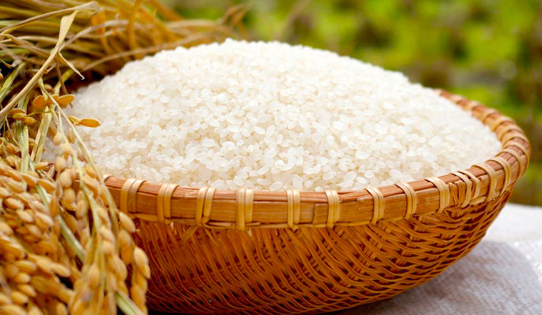 Giá lúa gạo hôm nay 6/5/2022: Tiếp tục chững giá trên diện rộng