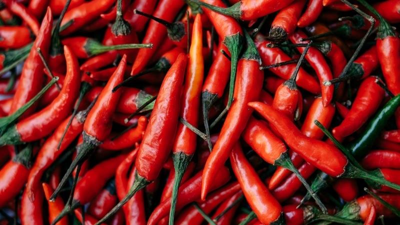 Giá ớt hôm nay ổn định, không tăng không giảm trên cả nước.