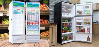 Nên mua tủ mát hay tủ lạnh? 5 khác biệt cơ bản giữa 2 loại tủ này
