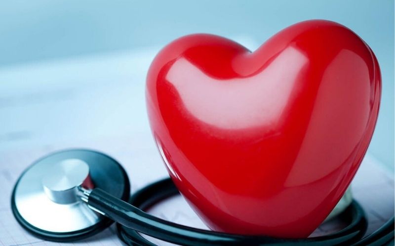Mận Bắc có công dụng bảo vệ sức khỏe tim mạch hiệu quả