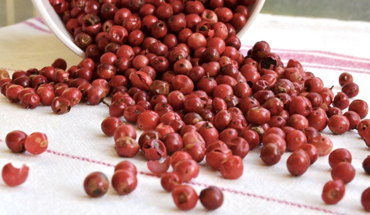 Giá tiêu hôm nay 7/5/2022: Giữ nguyên, dao động 76.500-79.500 đồng/kg