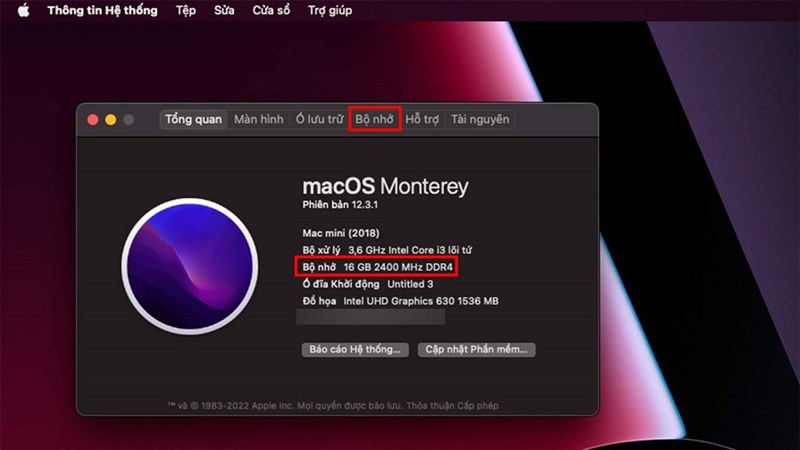 cách kiểm tra bộ nhớ RAM trên MacBook
