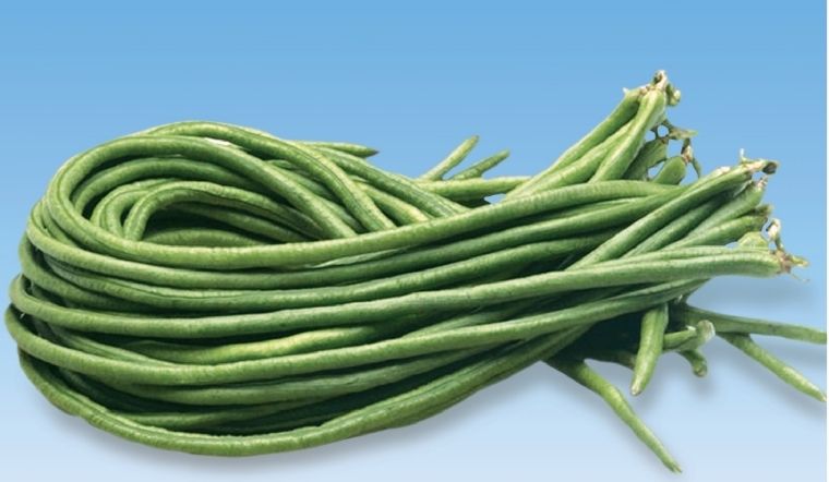 100g đậu đũa bao nhiêu calo? Ăn đậu đũa có béo không?