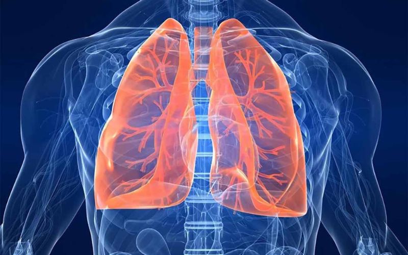Đi bộ giúp tăng thể tích của phổi