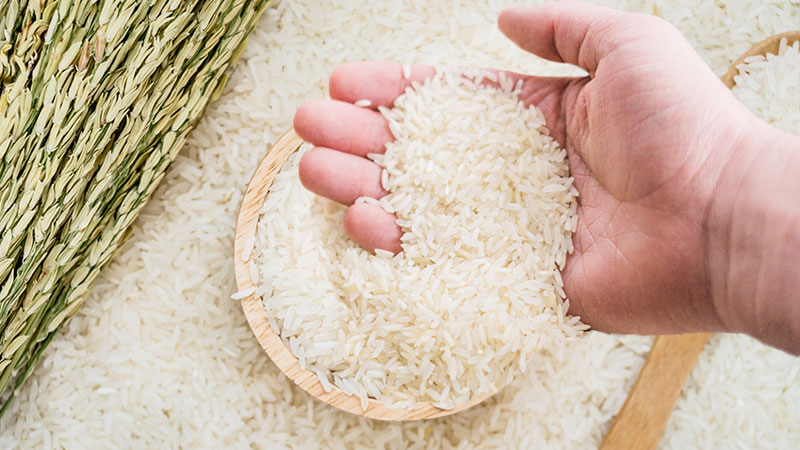 Giá gạo hôm nay 10/5